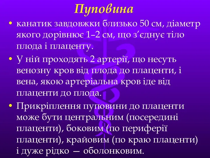 Пуповина канатик завдовжки близько 50 см, дiаметр якого дорiвнює 1–2 см,