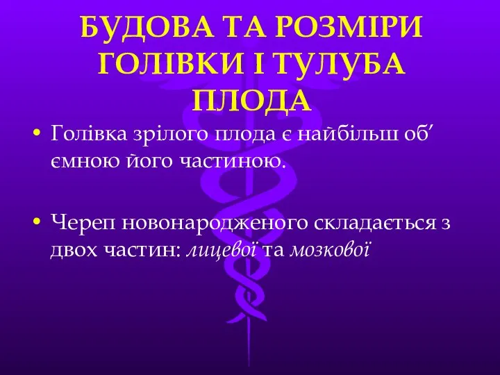 БУДОВА ТА РОЗМIРИ ГОЛIВКИ I ТУЛУБА ПЛОДА Голiвка зрiлого плода є