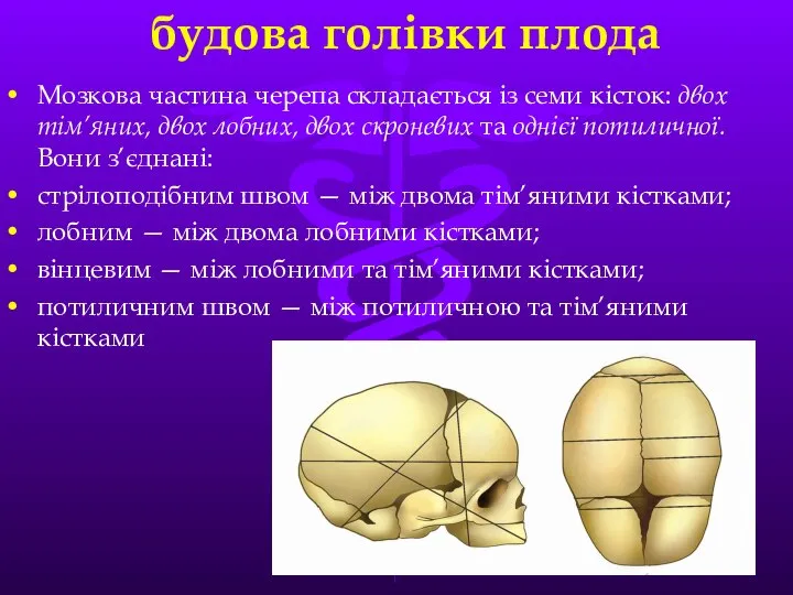 будова голівки плода Мозкова частина черепа складається iз семи кiсток: двох