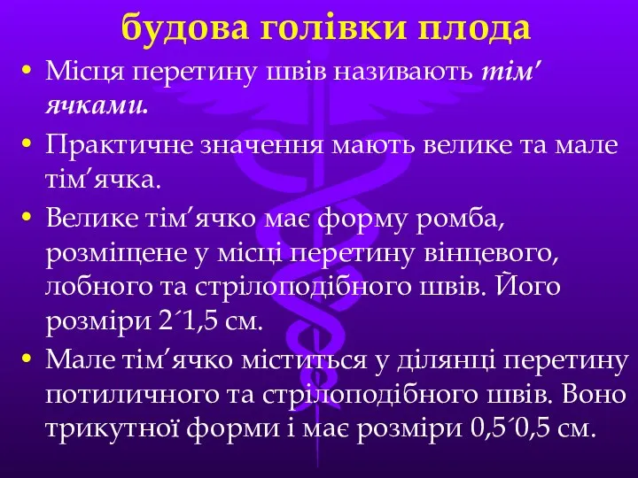 будова голівки плода Мiсця перетину швiв називають тiм’ячками. Практичне значення мають