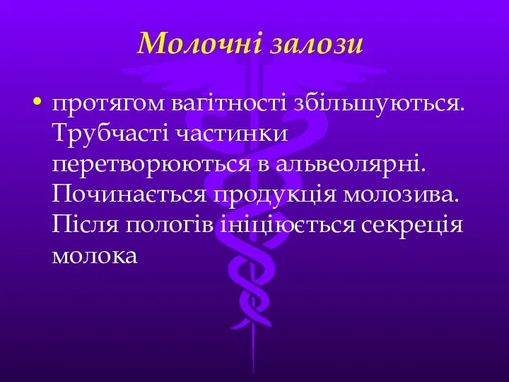 Молочнi залози протягом вагiтностi збiльшуються. Трубчастi частинки перетворюються в альвеолярнi. Починається