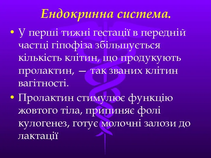 Ендокринна система. У першi тижнi гестацiї в переднiй частцi гiпофiза збiльшується