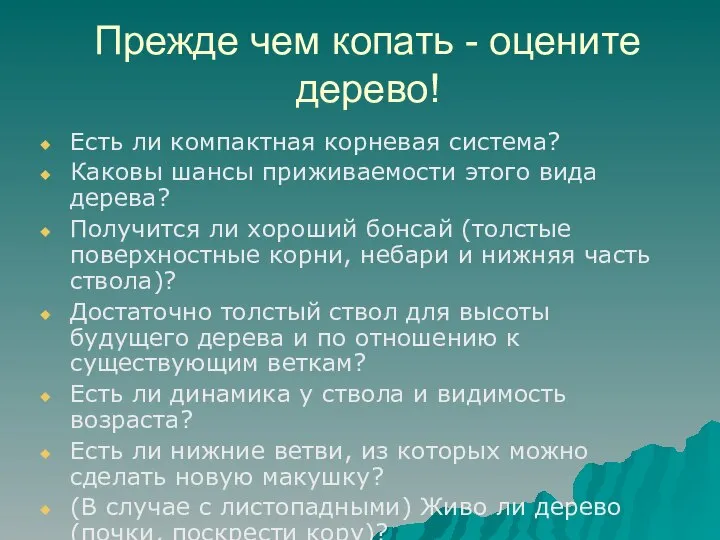 Прежде чем копать - оцените дерево! Есть ли компактная корневая система?