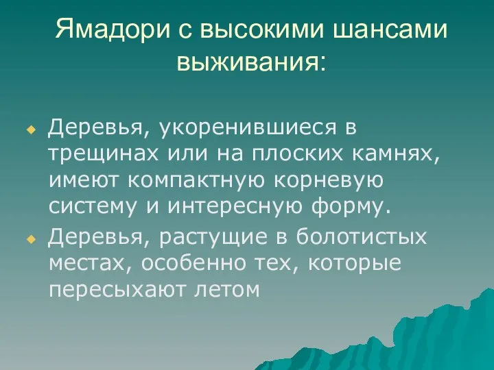 Ямадори с высокими шансами выживания: Деревья, укоренившиеся в трещинах или на