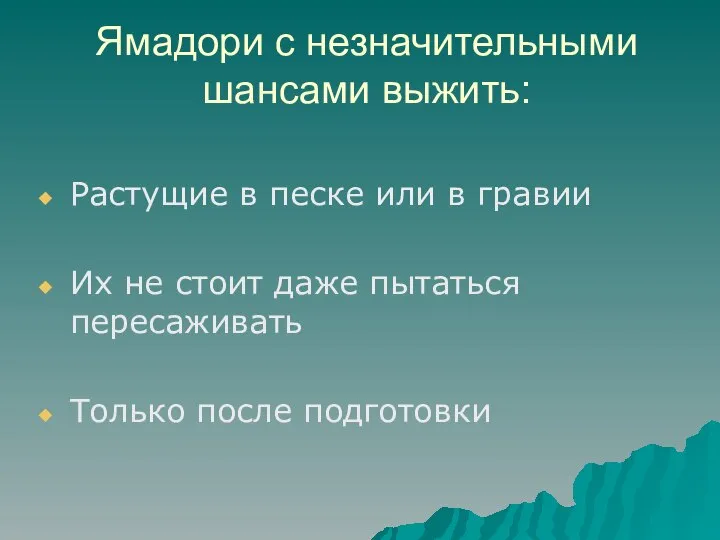 Ямадори с незначительными шансами выжить: Растущие в песке или в гравии