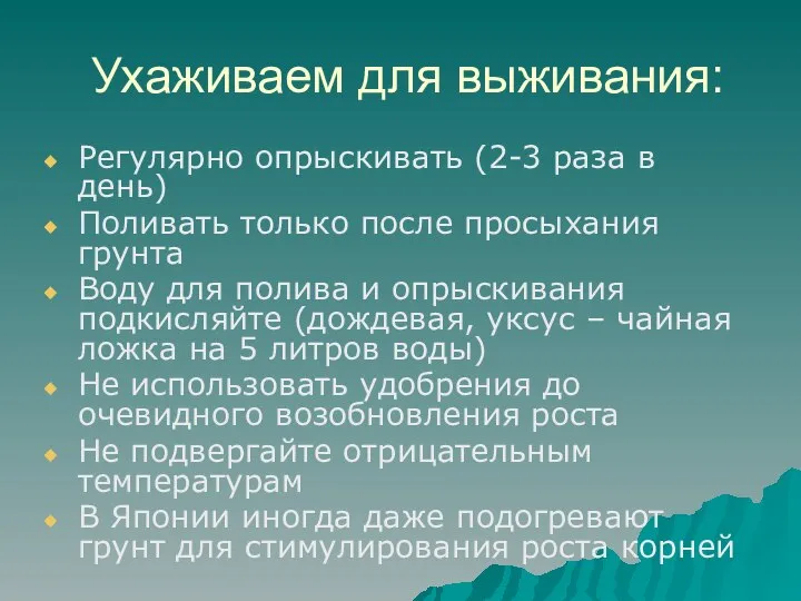 Ухаживаем для выживания: Регулярно опрыскивать (2-3 раза в день) Поливать только