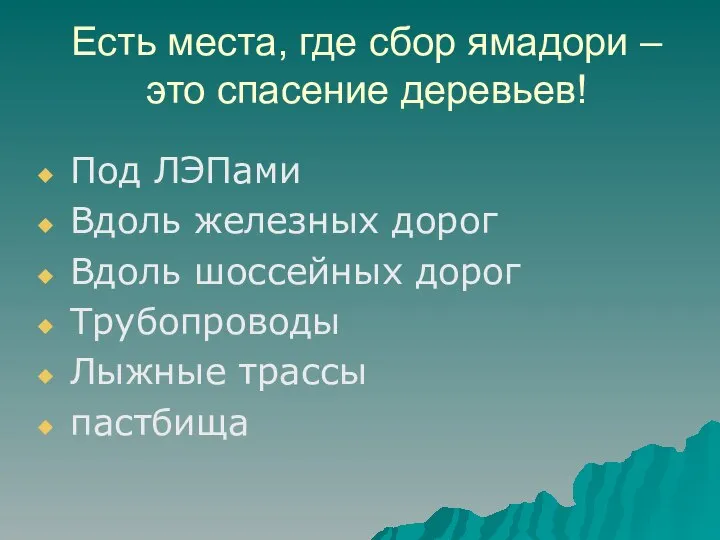 Есть места, где сбор ямадори – это спасение деревьев! Под ЛЭПами