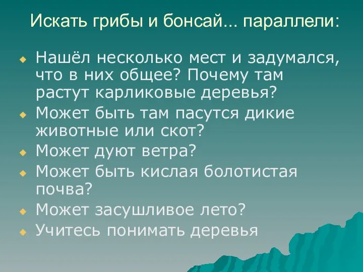 Искать грибы и бонсай... параллели: Нашёл несколько мест и задумался, что