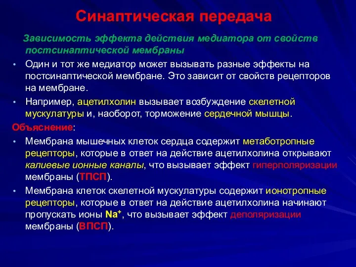 Синаптическая передача Зависимость эффекта действия медиатора от свойств постсинаптической мембраны Один