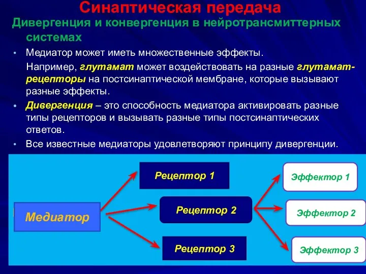 Синаптическая передача медиатор Дивергенция и конвергенция в нейротрансмиттерных системах Медиатор может