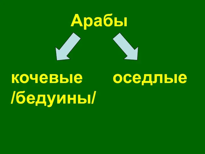 Арабы кочевые /бедуины/ оседлые