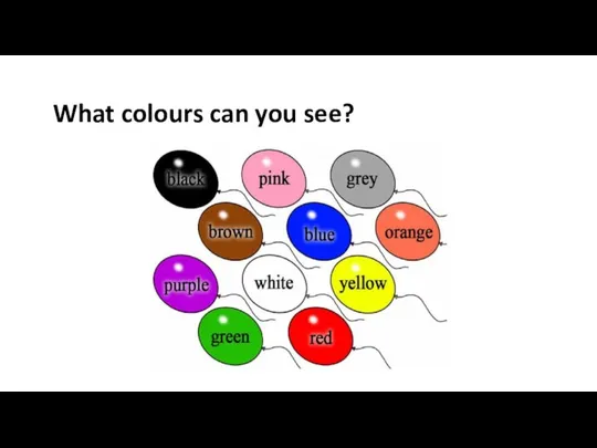 What colours can you see?