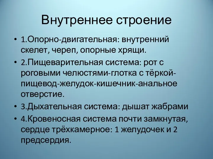 Внутреннее строение 1.Опорно-двигательная: внутренний скелет, череп, опорные хрящи. 2.Пищеварительная система: рот