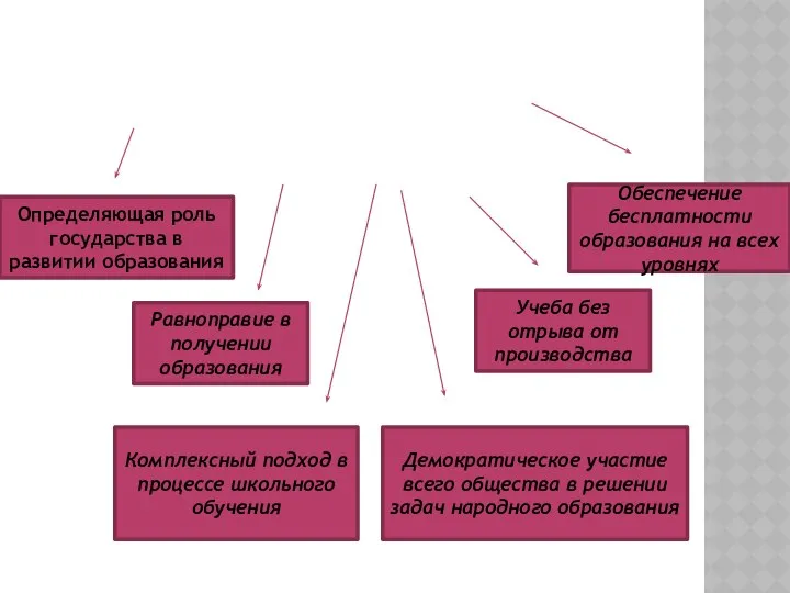 ОСОБЕННОСТИ КУБИНСКОЙ СИСТЕМЫ ОБРАЗОВАНИЯ ПРОЯВЛЯЮТСЯ В СЛЕДУЮЩИХ ОСНОВНЫХ ПРИНЦИПАХ ЕЕ ФУНКЦИОНИРОВАНИЯ