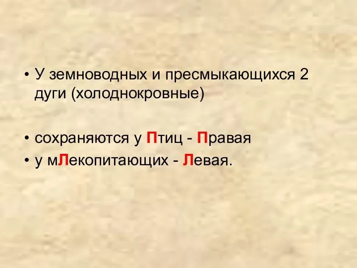 У земноводных и пресмыкающихся 2 дуги (холоднокровные) сохраняются у Птиц - Правая у мЛекопитающих - Левая.