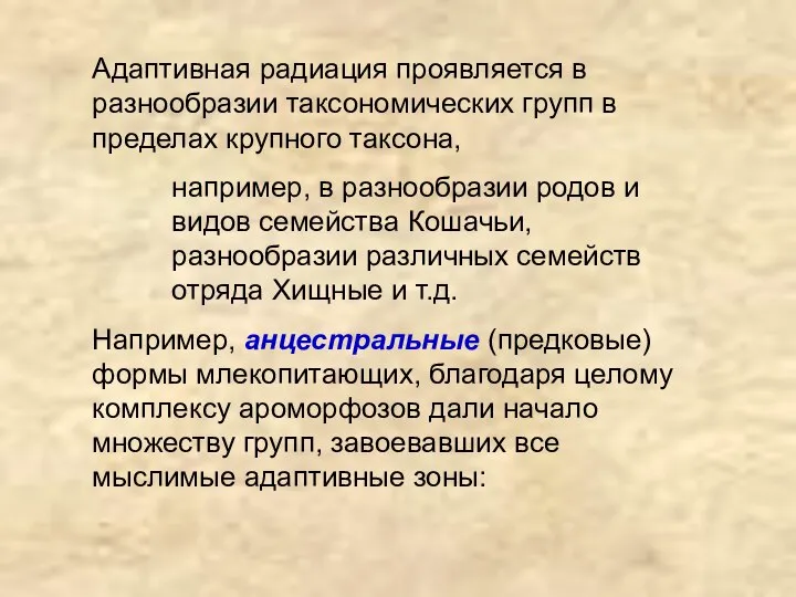 Адаптивная радиация проявляется в разнообразии таксономических групп в пределах крупного таксона,