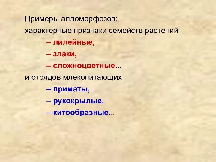 Примеры алломорфозов: характерные признаки семейств растений – лилейные, – злаки, –