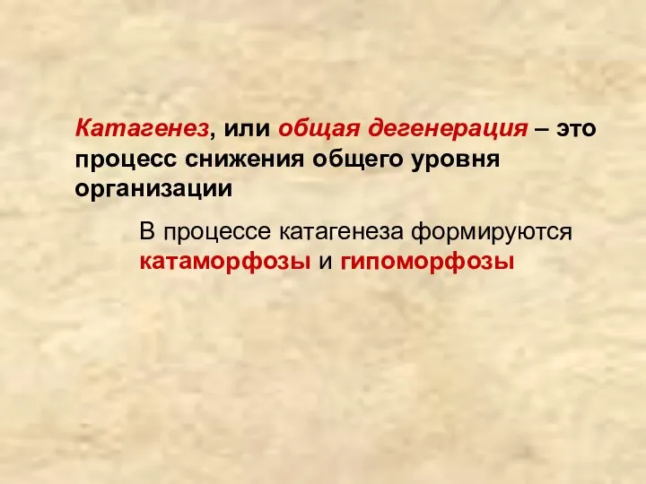 Катагенез, или общая дегенерация – это процесс снижения общего уровня организации