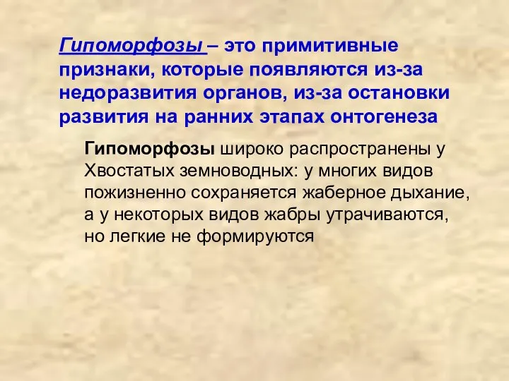 Гипоморфозы – это примитивные признаки, которые появляются из-за недоразвития органов, из-за