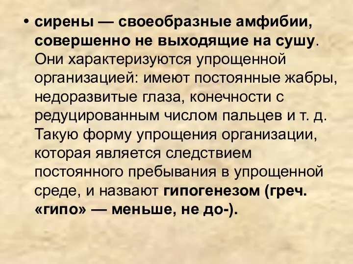 сирены — своеобразные амфибии, совершенно не выходящие на сушу. Они характеризуются