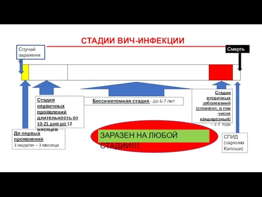 СТАДИИ ВИЧ-ИНФЕКЦИИ Случай заражение До первых проявлений 3 недели – 3