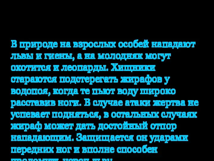 Как защищаются и охотятся. В природе на взрослых особей нападают львы