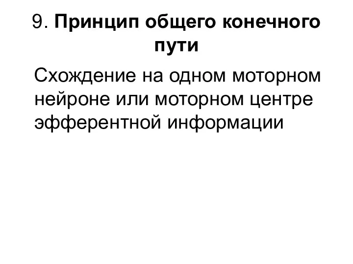 9. Принцип общего конечного пути Схождение на одном моторном нейроне или моторном центре эфферентной информации