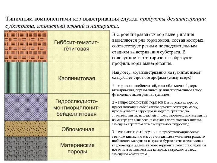 Экзогенные процессы Типичным компонентами кор выветривания служат продукты дезинтеграции субстрата, глинистый