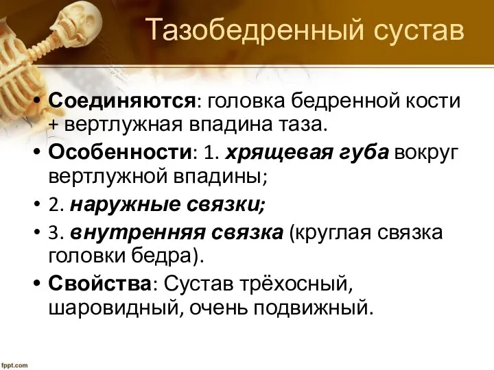 Тазобедренный сустав Соединяются: головка бедренной кости + вертлужная впадина таза. Особенности: