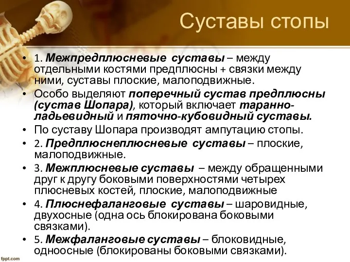 Суставы стопы 1. Межпредплюсневые суставы – между отдельными костями предплюсны +