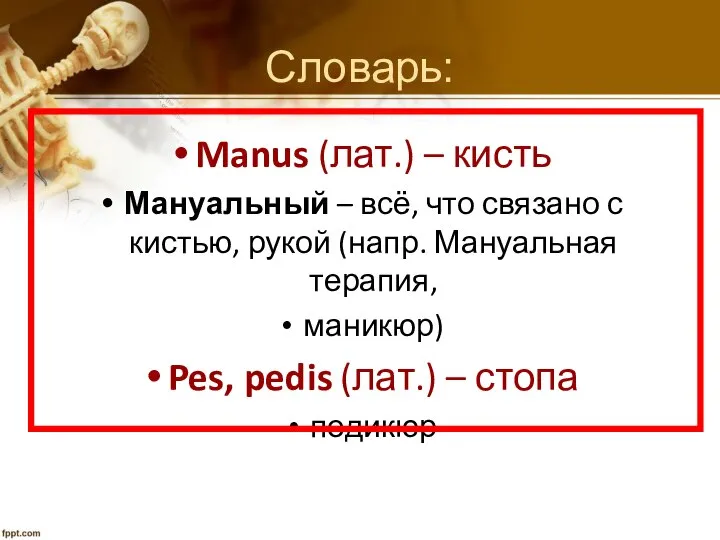 Manus (лат.) – кисть Мануальный – всё, что связано с кистью,