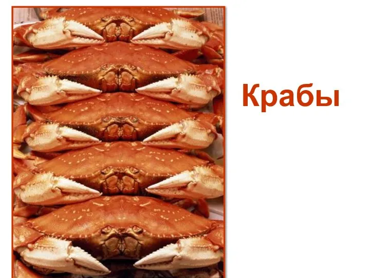 Крабы