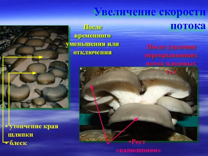 Увеличение скорости потока После временного уменьшения или отключения После удаления перекрывающих