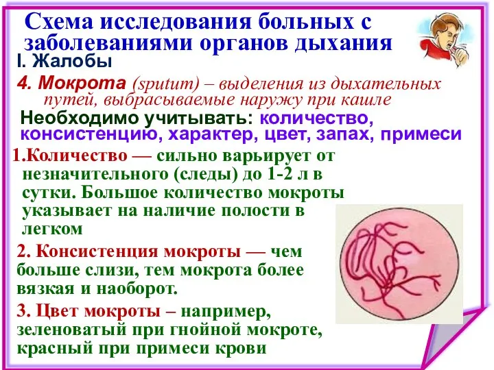 I. Жалобы 4. Мокрота (sputum) – выделения из дыхательных путей, выбрасываемые