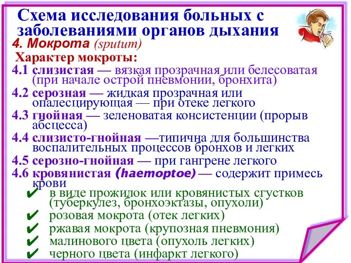 4. Мокрота (sputum) Схема исследования больных с заболеваниями органов дыхания Характер