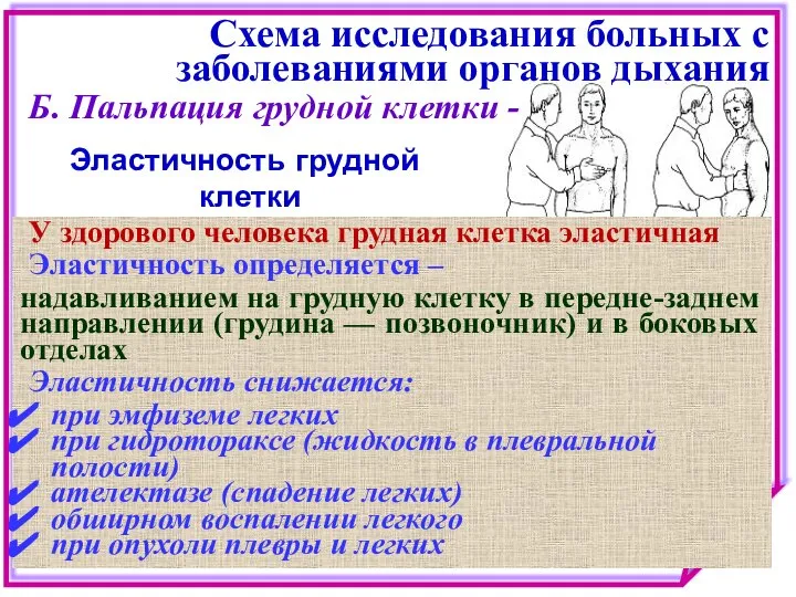 Схема исследования больных с заболеваниями органов дыхания Б. Пальпация грудной клетки