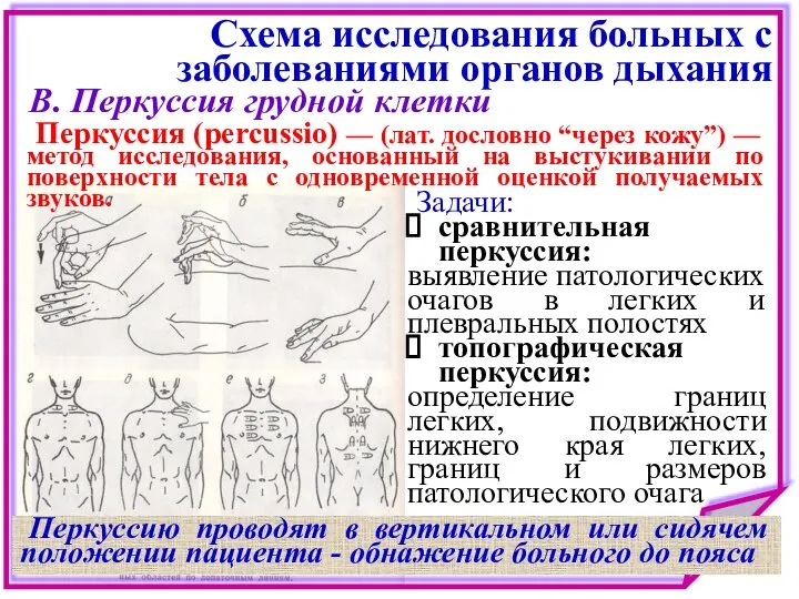 Схема исследования больных с заболеваниями органов дыхания Перкуссия (percussio) — (лат.