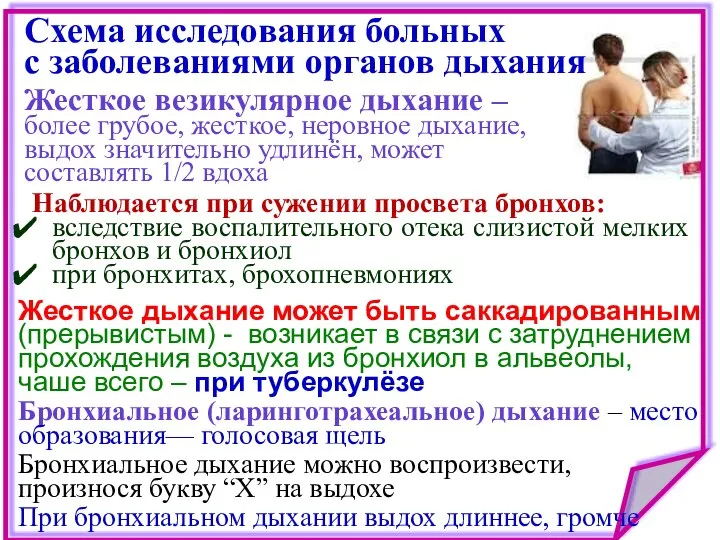 Схема исследования больных с заболеваниями органов дыхания Жесткое дыхание может быть