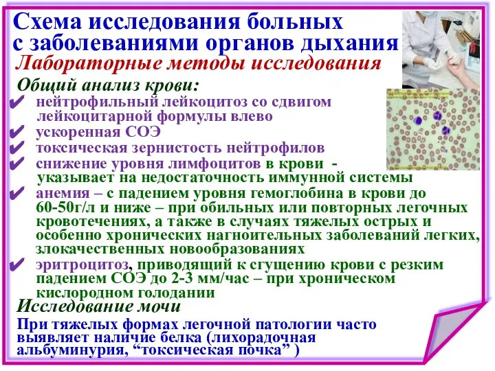 Схема исследования больных с заболеваниями органов дыхания Общий анализ крови: нейтрофильный