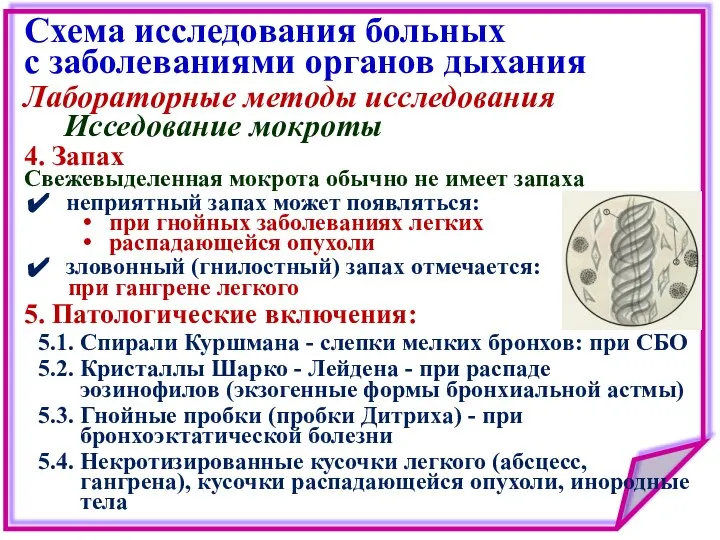 Схема исследования больных с заболеваниями органов дыхания Лабораторные методы исследования Исседование