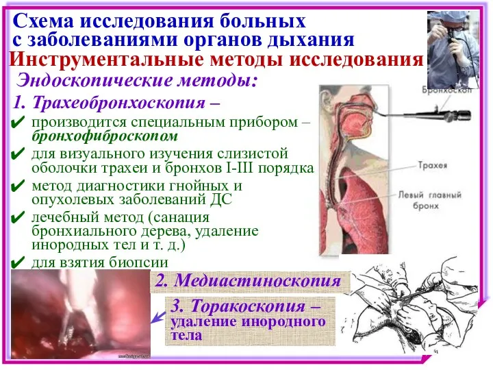 Схема исследования больных с заболеваниями органов дыхания Инструментальные методы исследования Эндоскопические