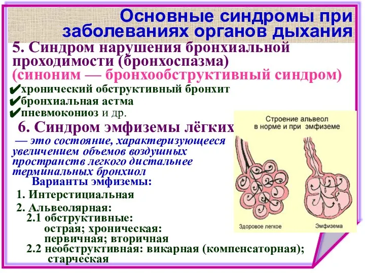 Основные синдромы при заболеваниях органов дыхания 5. Синдром нарушения бронхиальной проходимости