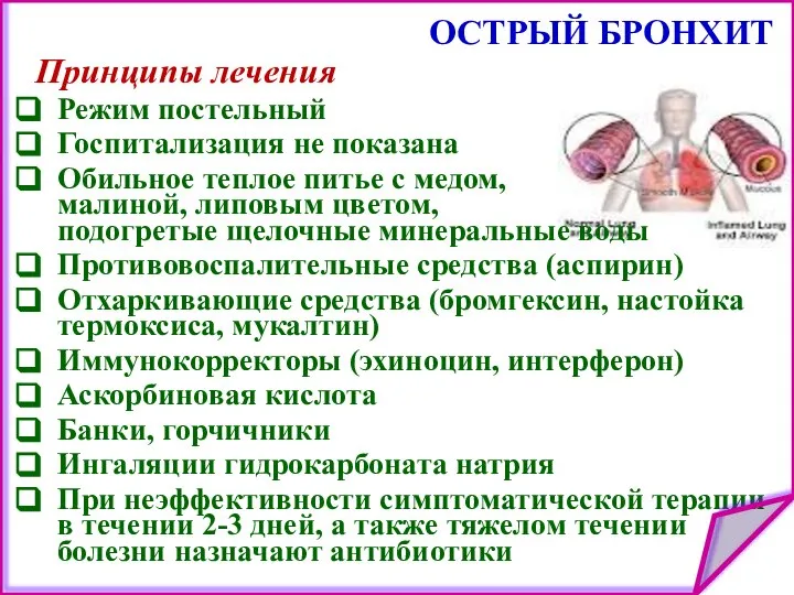 ОСТРЫЙ БРОНХИТ Принципы лечения Режим постельный Госпитализация не показана Обильное теплое