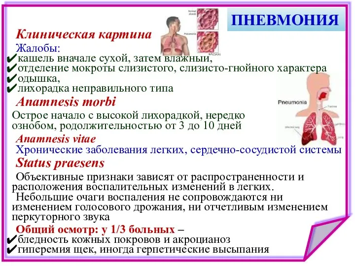 ПНЕВМОНИЯ Клиническая картина Жалобы: кашель вначале сухой, затем влажный, отделение мокроты