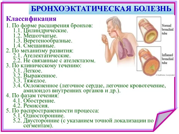 БРОНХОЭКТАТИЧЕСКАЯ БОЛЕЗНЬ 1. По форме расширения бронхов: 1.1. Цилиндрические. 1.2. Мешотчатые.