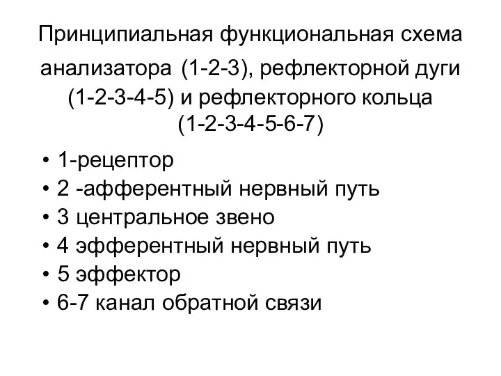 Принципиальная функциональная схема анализатора (1-2-3), рефлекторной дуги(1-2-3-4-5) и рефлекторного кольца (1-2-3-4-5-6-7)