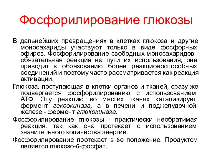 Фосфорилирование глюкозы В дальнейших превращениях в клетках глюкоза и другие моносахариды