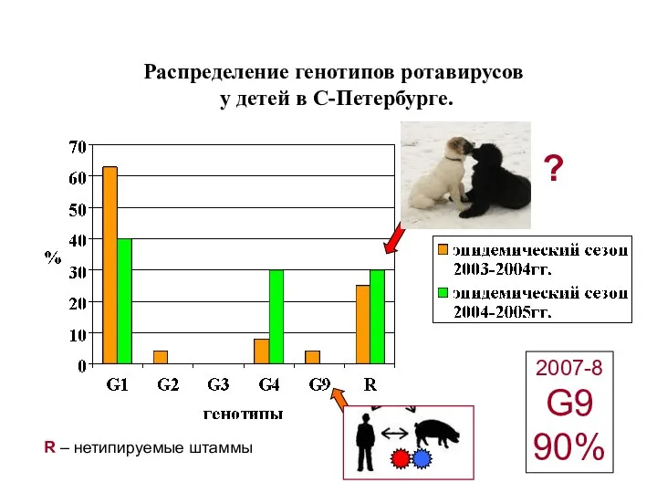 Распределение генотипов ротавирусов у детей в С-Петербурге. ? 2007-8 G9 90% R – нетипируемые штаммы