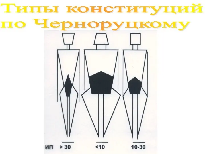 Типы конституций по Черноруцкому