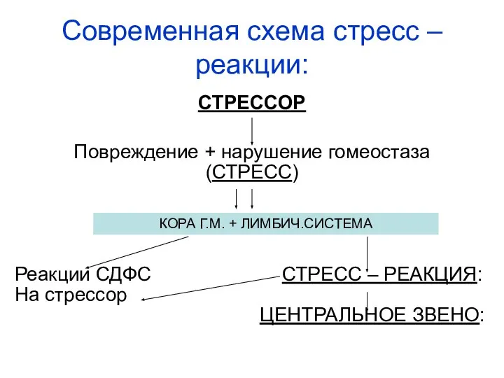 Современная схема стресс – реакции: СТРЕССОР Повреждение + нарушение гомеостаза (СТРЕСС)